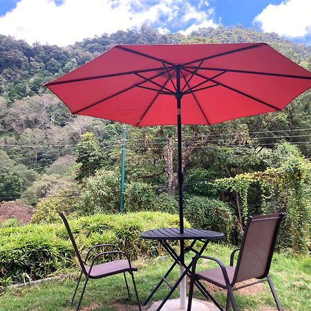 Los Lagos Lodge San Gerardo de Dota Luaran gambar