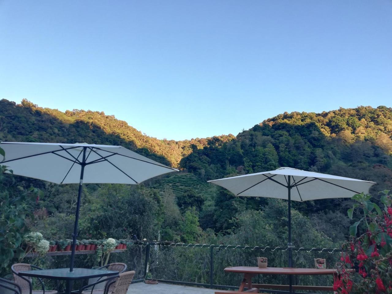 Los Lagos Lodge San Gerardo de Dota Luaran gambar